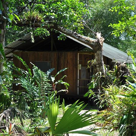 Hakuna Matata Amazon Lodge Archidona Ngoại thất bức ảnh