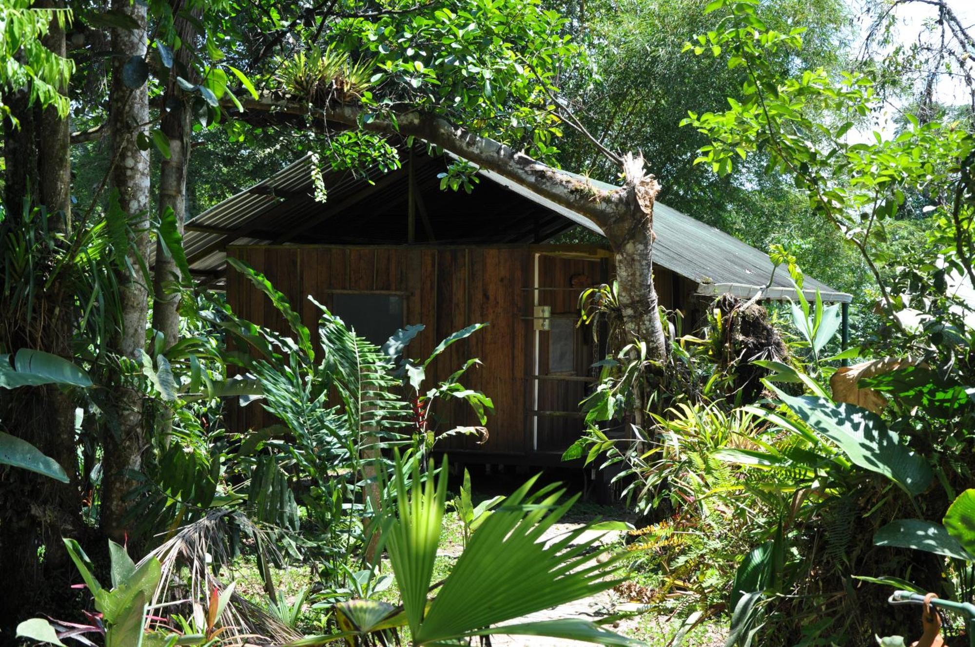 Hakuna Matata Amazon Lodge Archidona Ngoại thất bức ảnh
