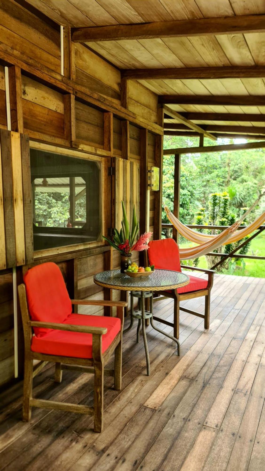 Hakuna Matata Amazon Lodge Archidona Ngoại thất bức ảnh
