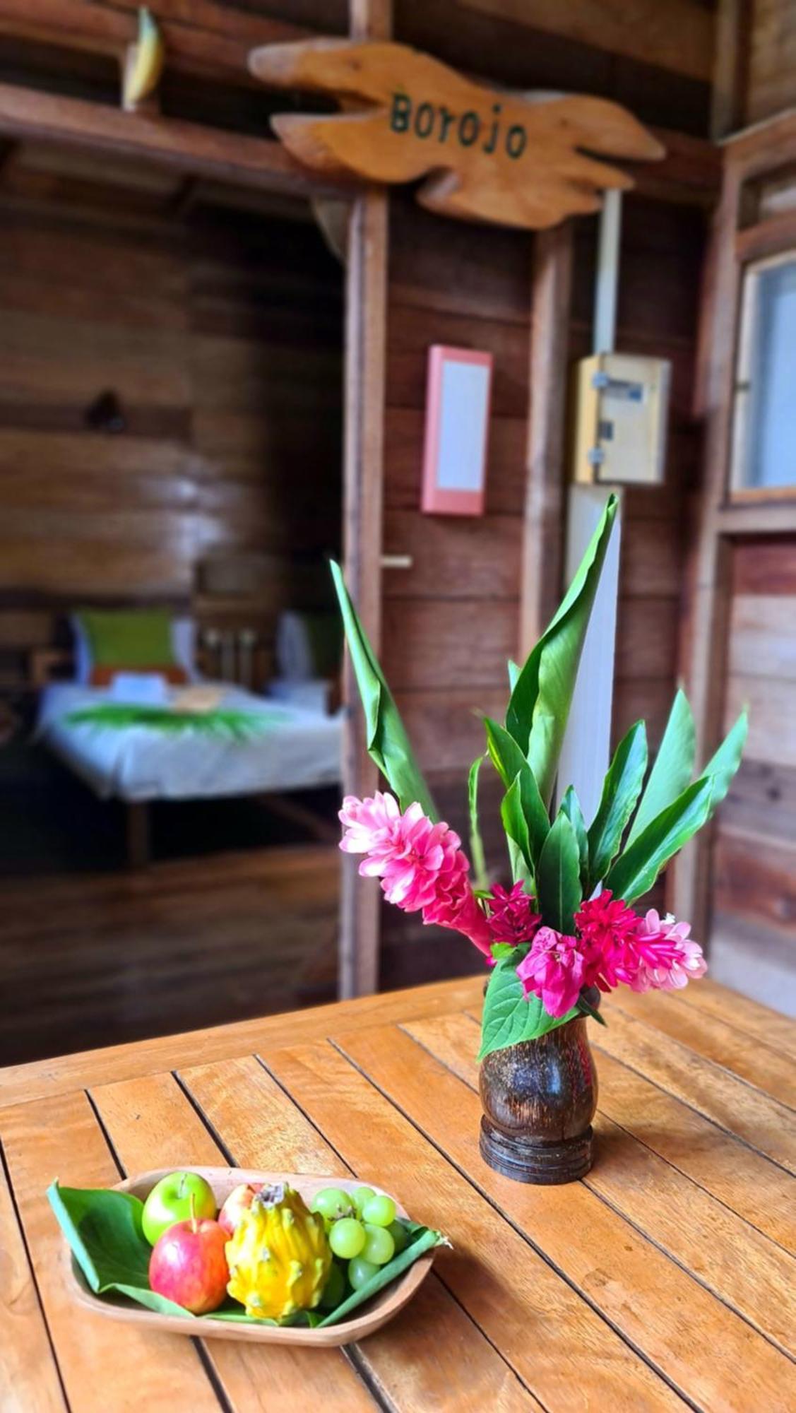 Hakuna Matata Amazon Lodge Archidona Ngoại thất bức ảnh