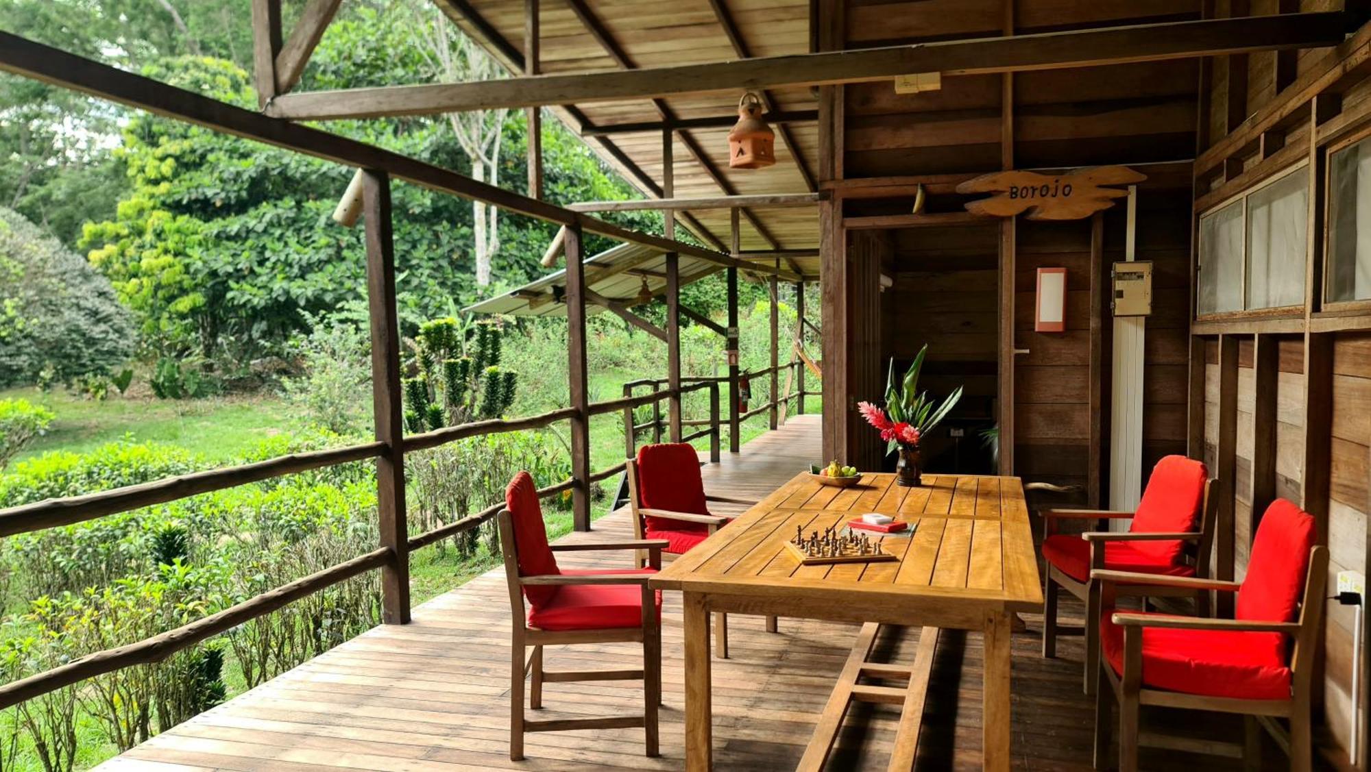 Hakuna Matata Amazon Lodge Archidona Ngoại thất bức ảnh