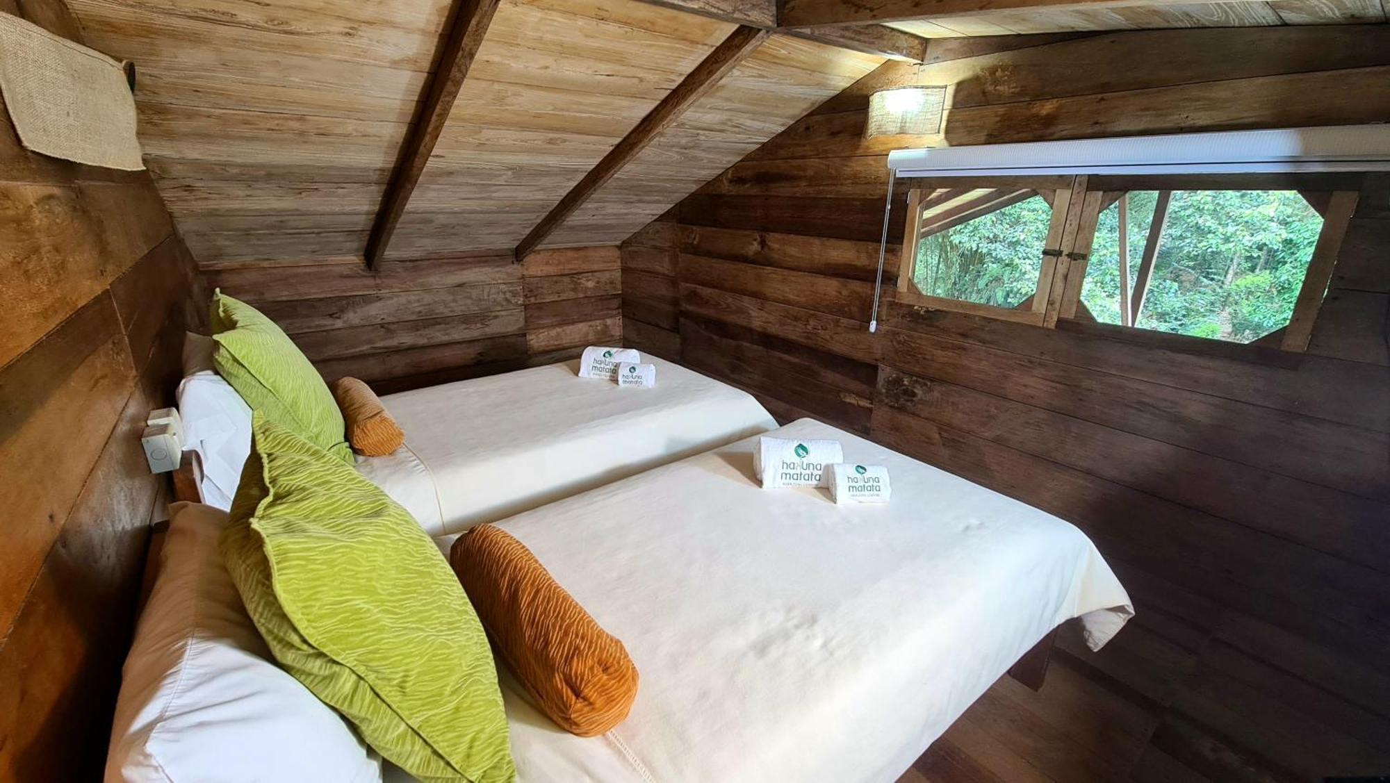 Hakuna Matata Amazon Lodge Archidona Ngoại thất bức ảnh