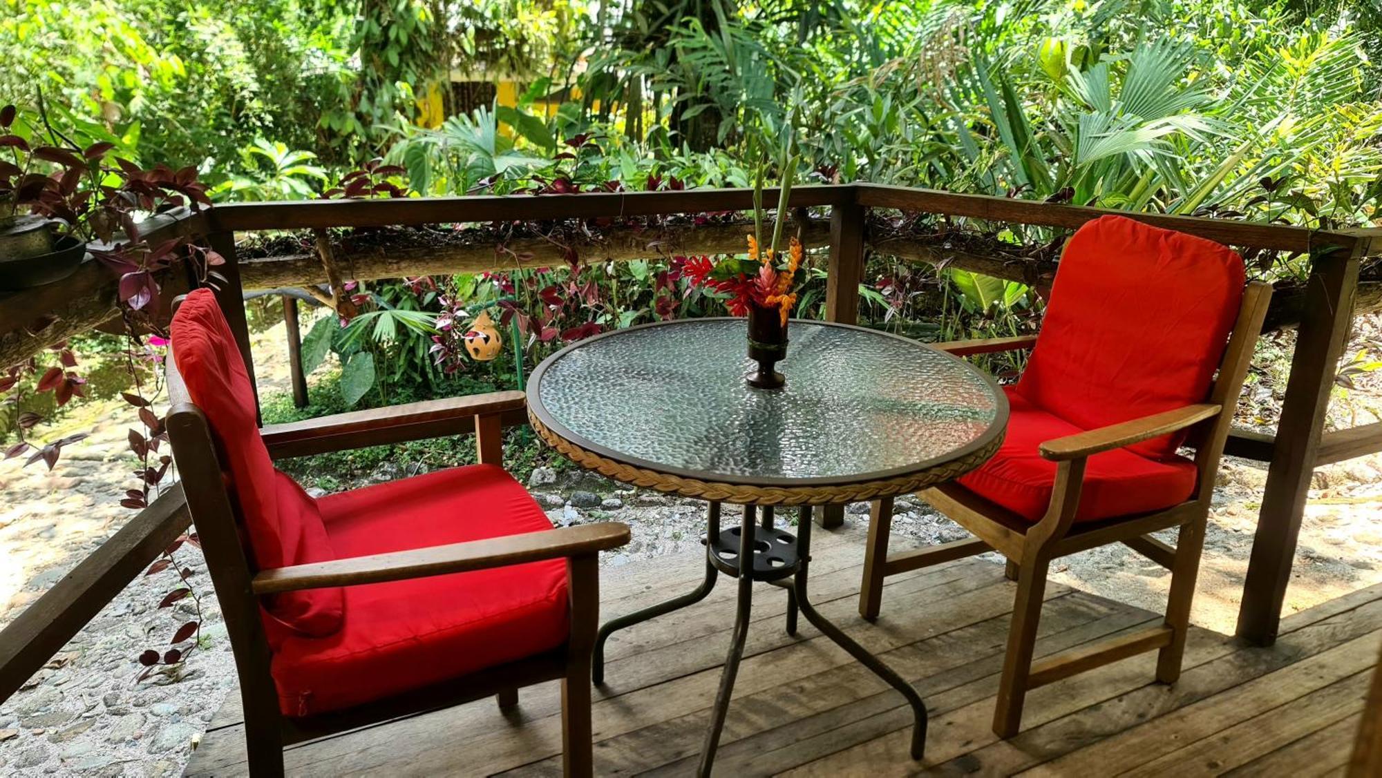 Hakuna Matata Amazon Lodge Archidona Ngoại thất bức ảnh