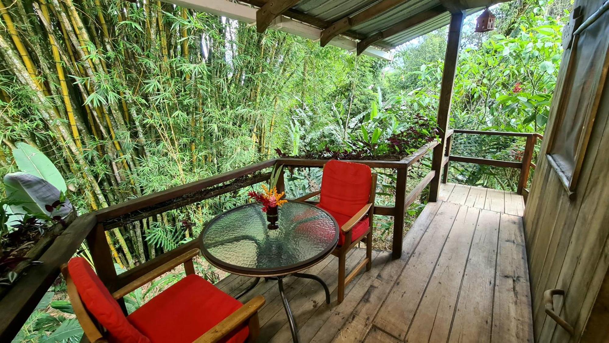 Hakuna Matata Amazon Lodge Archidona Ngoại thất bức ảnh