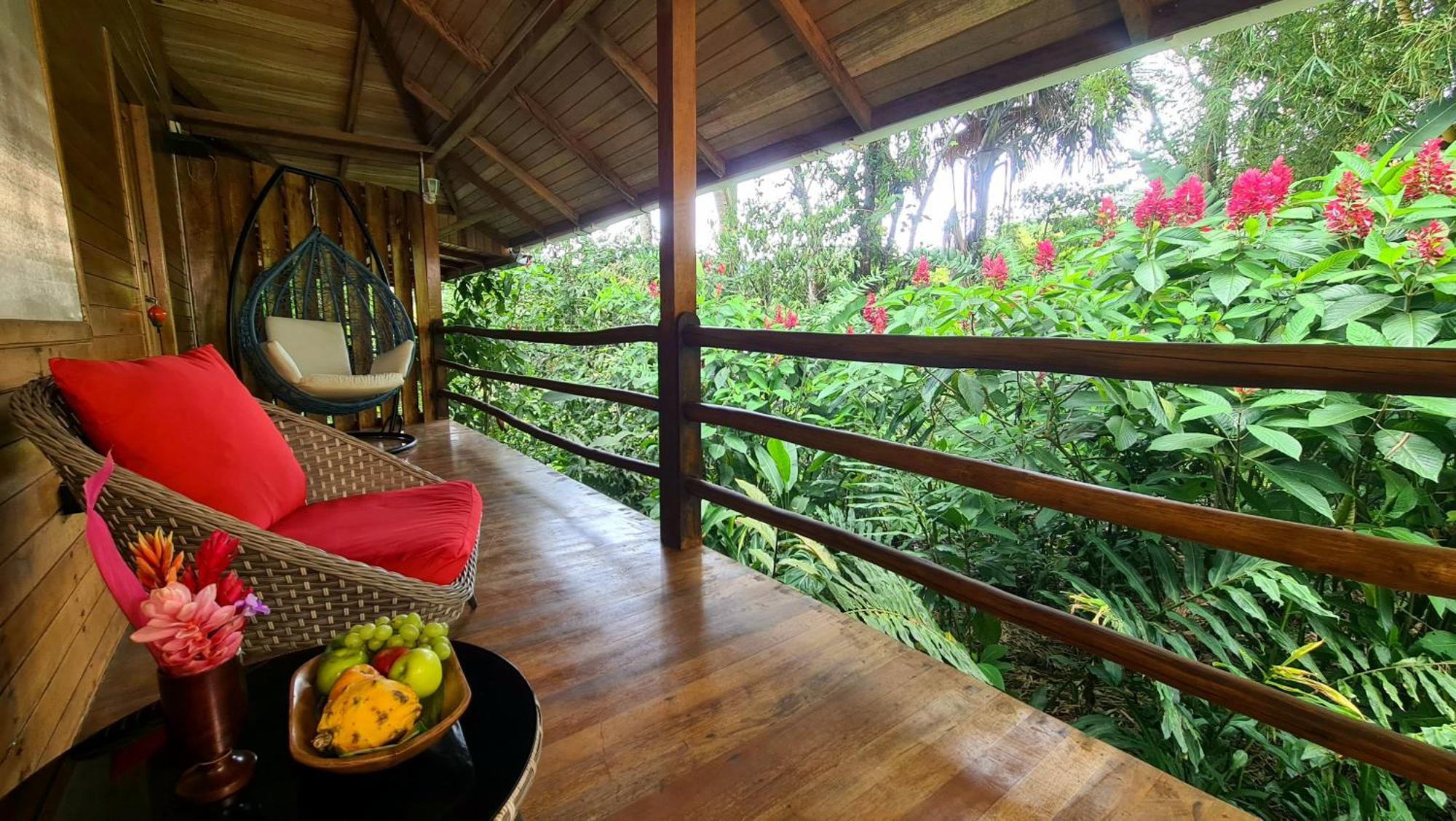 Hakuna Matata Amazon Lodge Archidona Ngoại thất bức ảnh