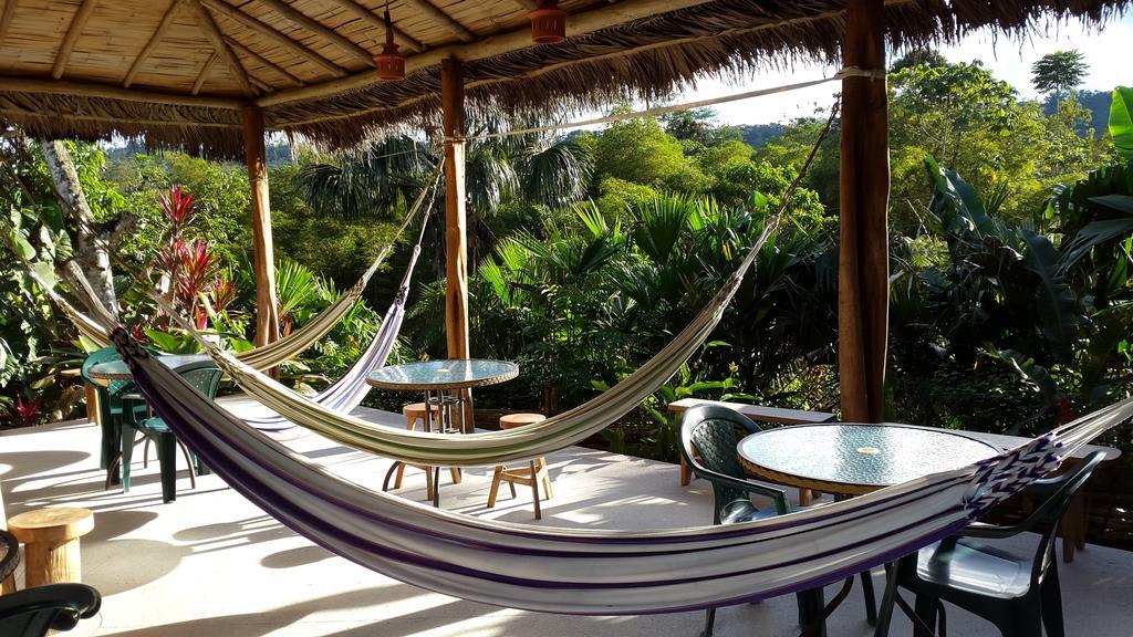 Hakuna Matata Amazon Lodge Archidona Ngoại thất bức ảnh