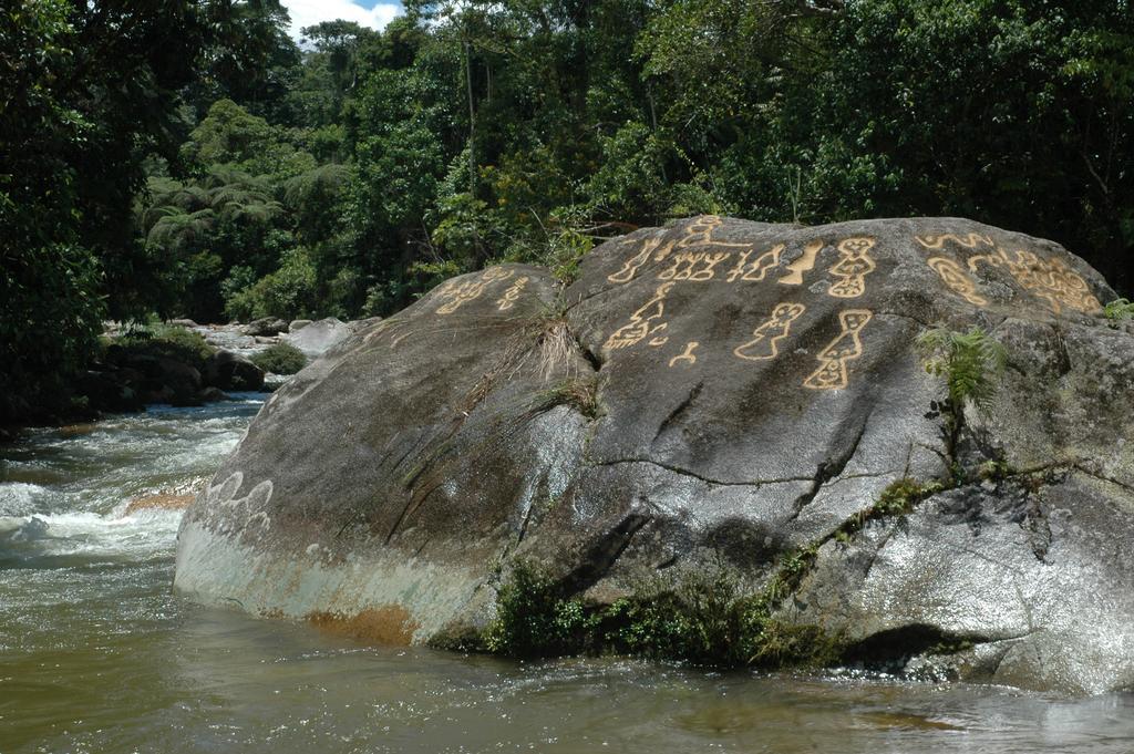 Hakuna Matata Amazon Lodge Archidona Ngoại thất bức ảnh