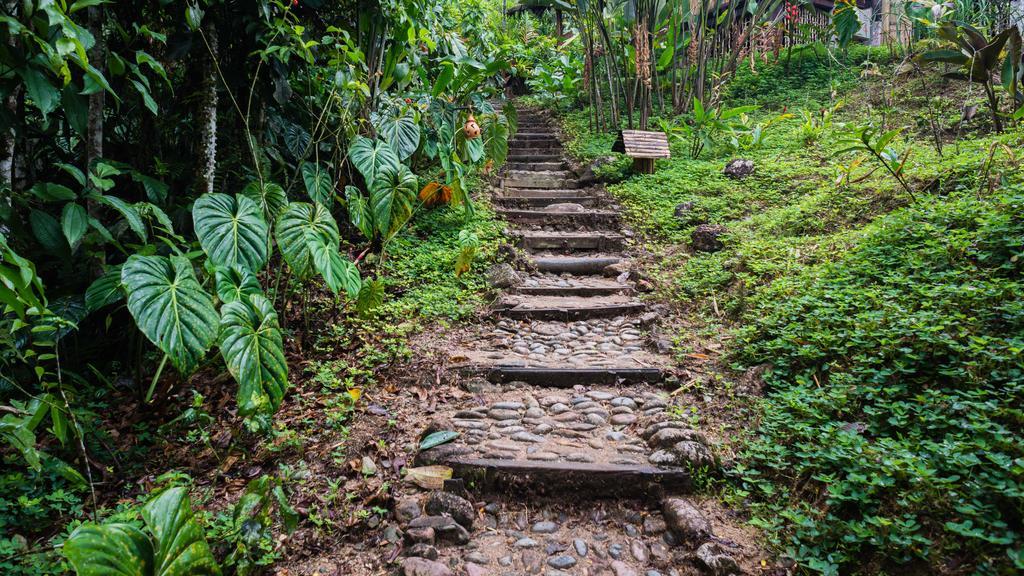 Hakuna Matata Amazon Lodge Archidona Ngoại thất bức ảnh