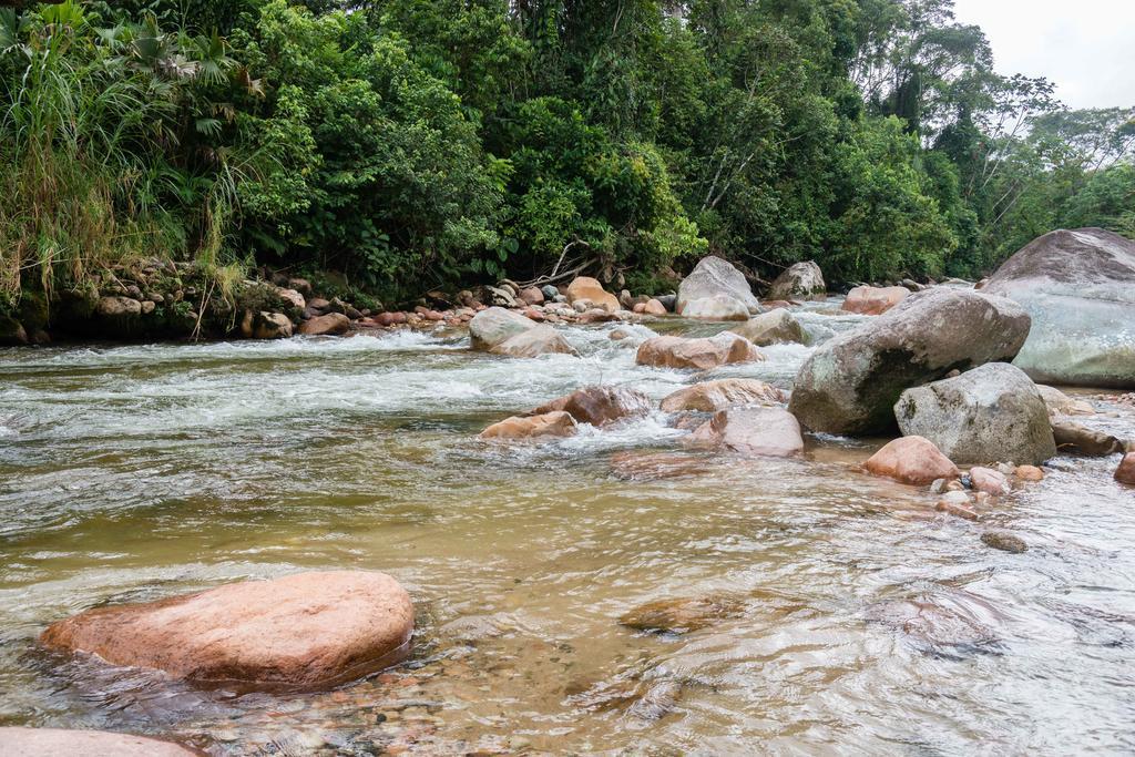 Hakuna Matata Amazon Lodge Archidona Ngoại thất bức ảnh